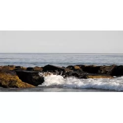 cuadro foto lienzo paisaje playa