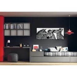 Cuadro juvenil decoracion pared habitación dormitorio cebras foto impresión lienzo